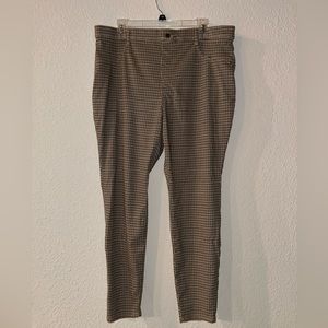 Time and Tru Women's High Rise skinny Jeggings